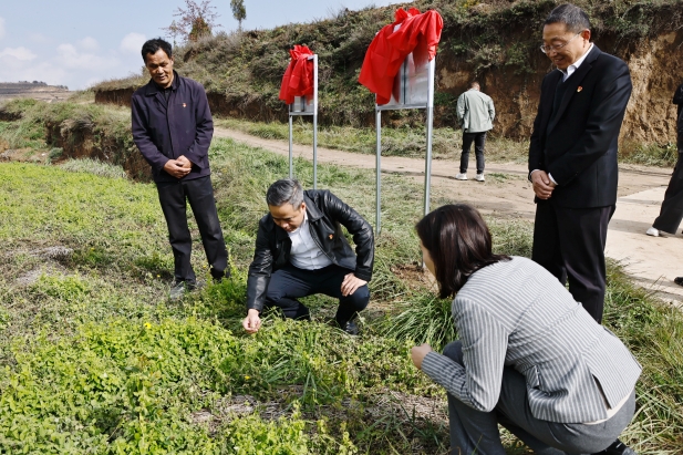 ʵ�ص��� (4).jpg