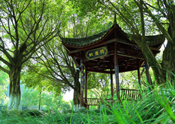 ��������������λ������ͩ����ҩ�����޹�˾