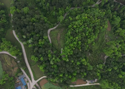 һȺ�ɰ�����