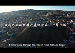 ��˹���ǵ�����֮��