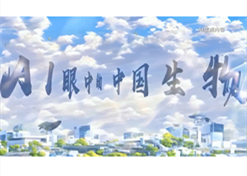 AI���е��й�����